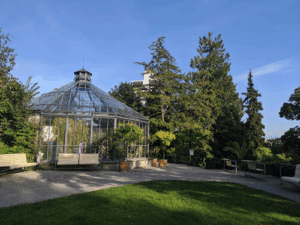 Alter Botanischer Garten