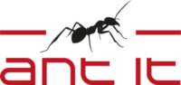 Ant IT
