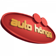Auto Höngg