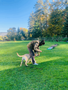 Dogcenter Zürich