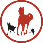 Hundeschule Animalcoach.ch Zürich