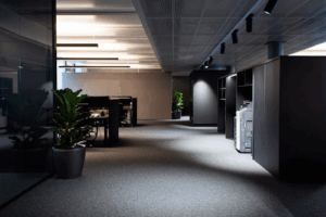 Teleinformatik Services AG