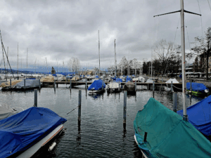 WS Bootsschule GmbH